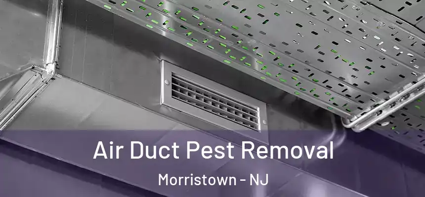  Air Duct Pest Removal Morristown - NJ
