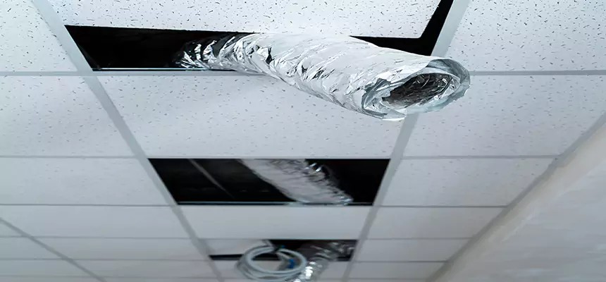 Our Air Duct Pet Hair Removal Services in Morristown, NJ