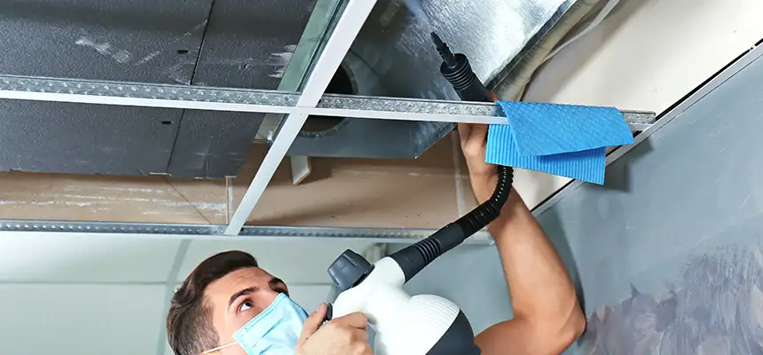 Our Air Duct Rodent Removal Services in Morristown, NJ