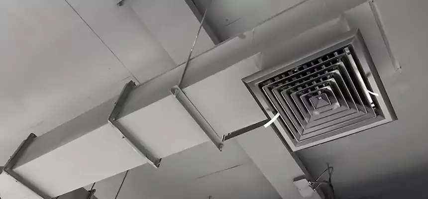 Our Rodent Droppings In Vents Services in Morristown, NJ