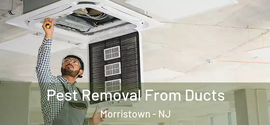  Pest Removal From Ducts Morristown - NJ