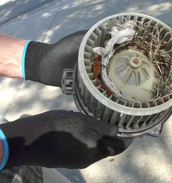 About Air Duct Rat Removal in Morristown, NJ