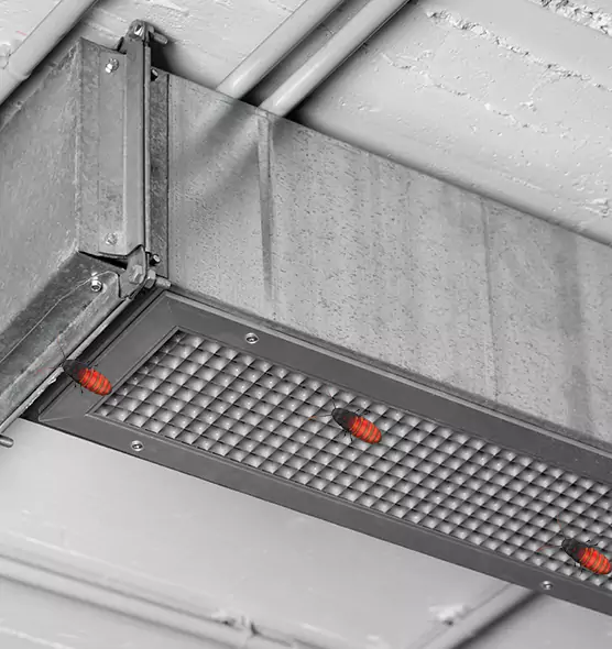 Affordable Insect Removal from Air Ducts in Morristown, NJ